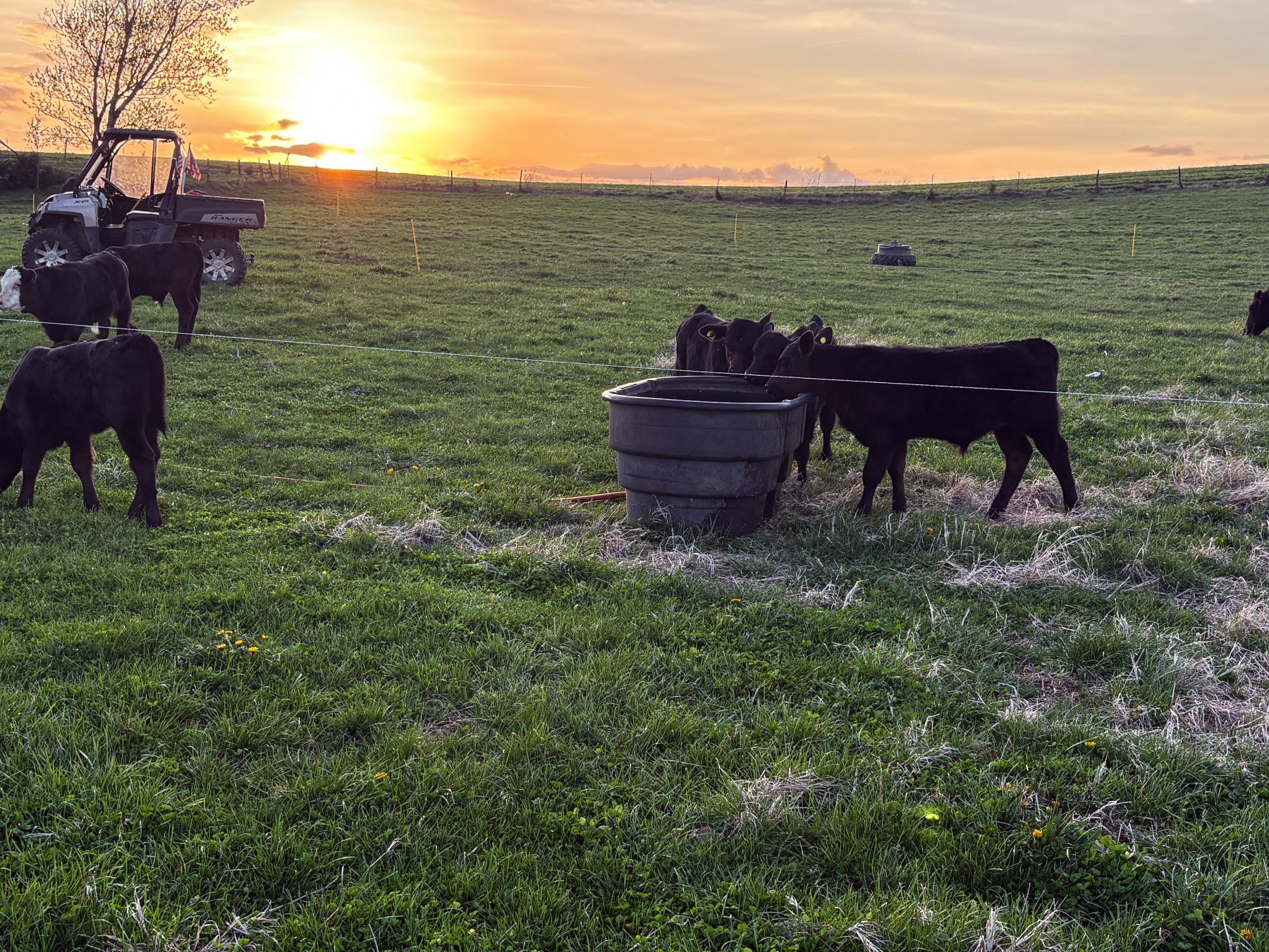 The 3G Farms Family