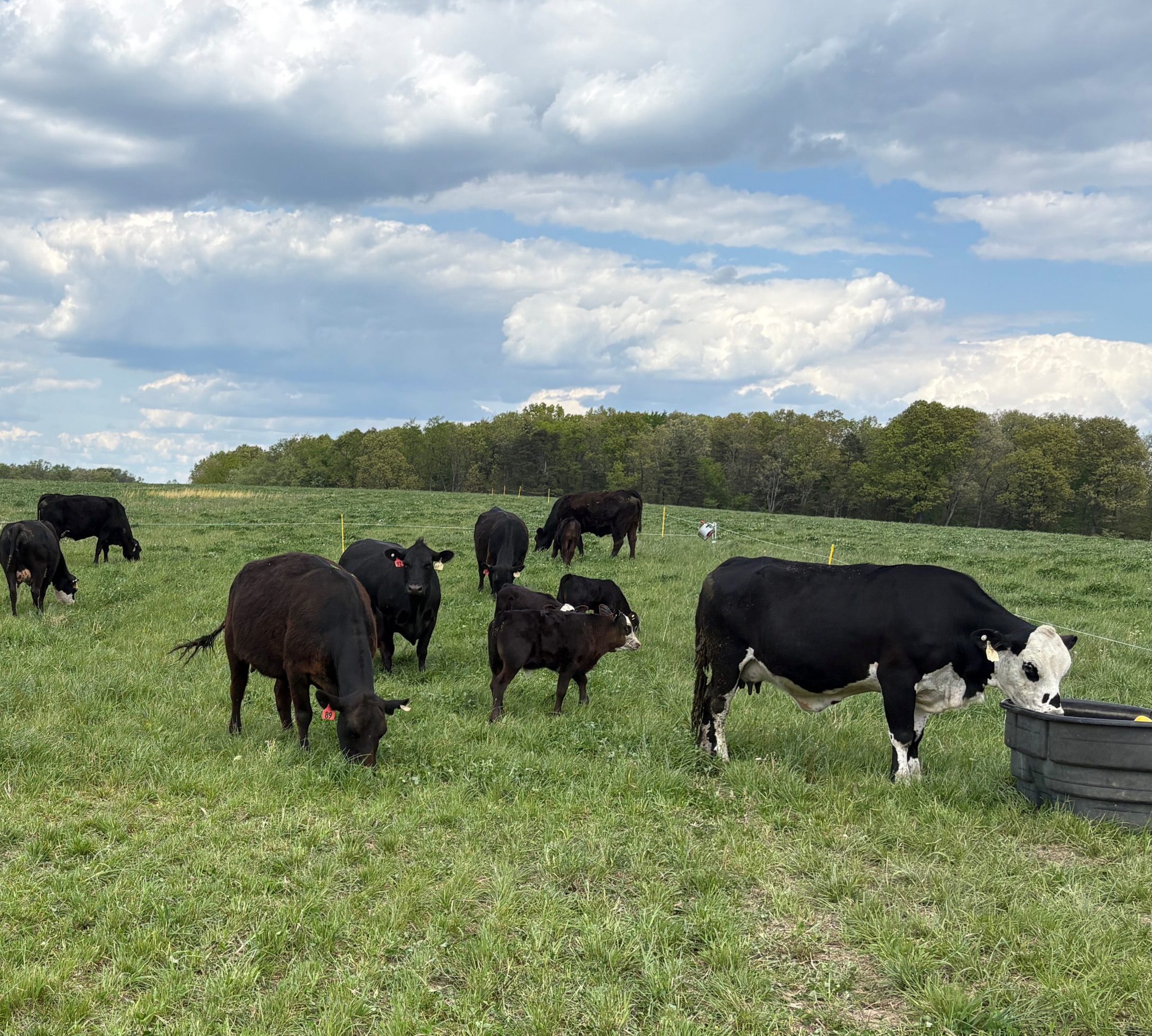 3G Farms Shenandoah Valley